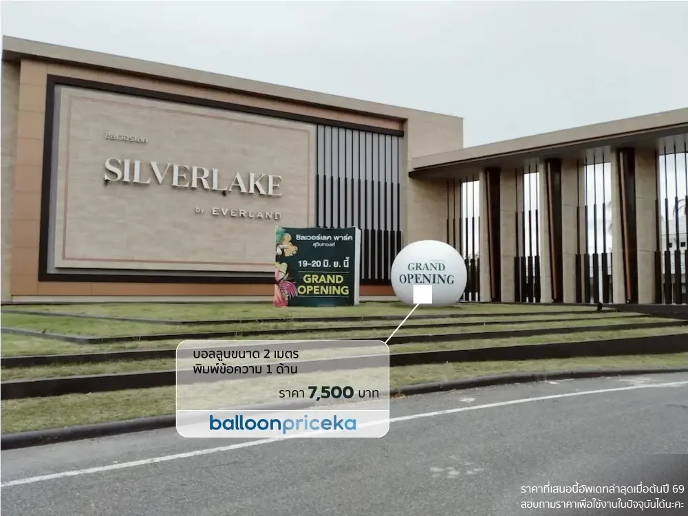 ผลงาน balloonpriceka