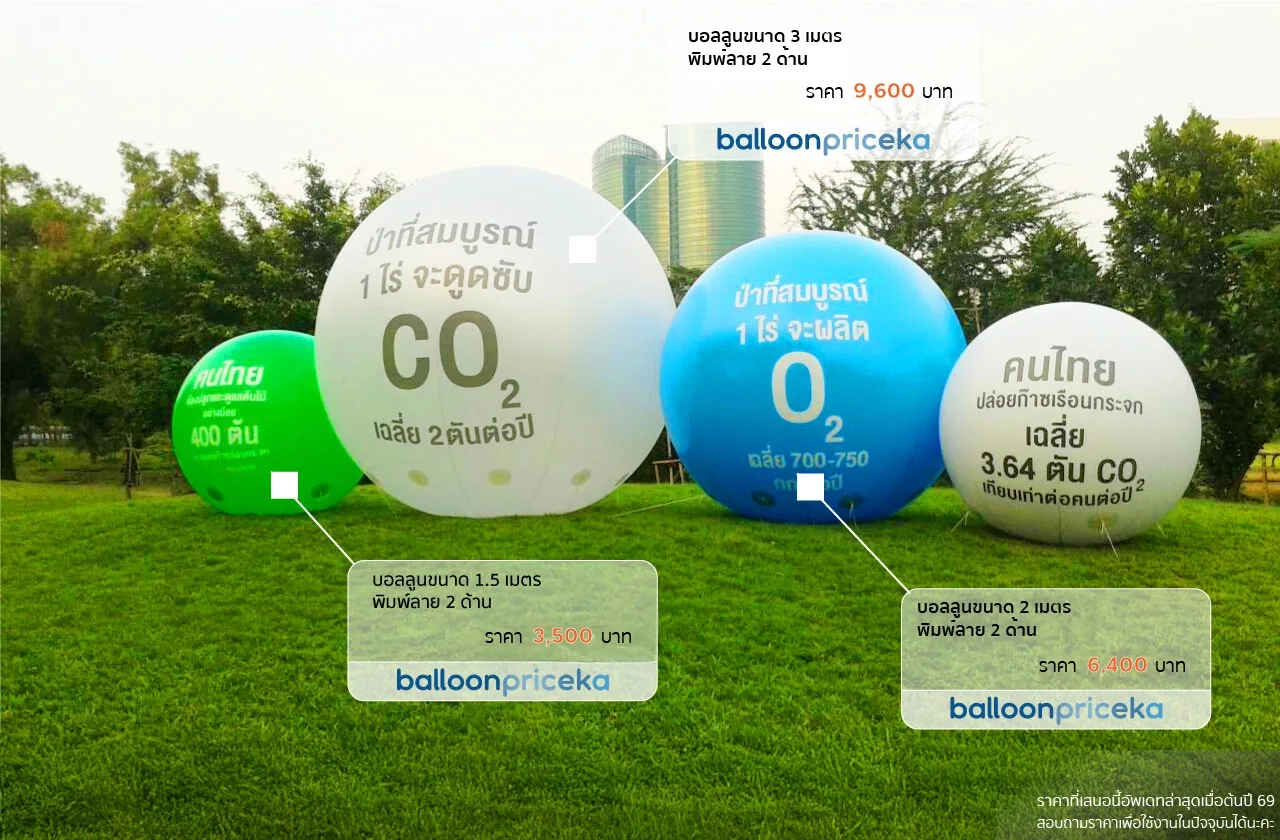 ผลงาน balloonpriceka