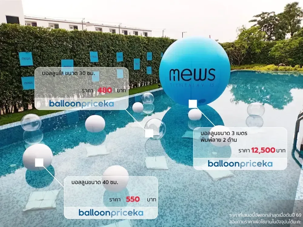 ผลงาน balloonpriceka