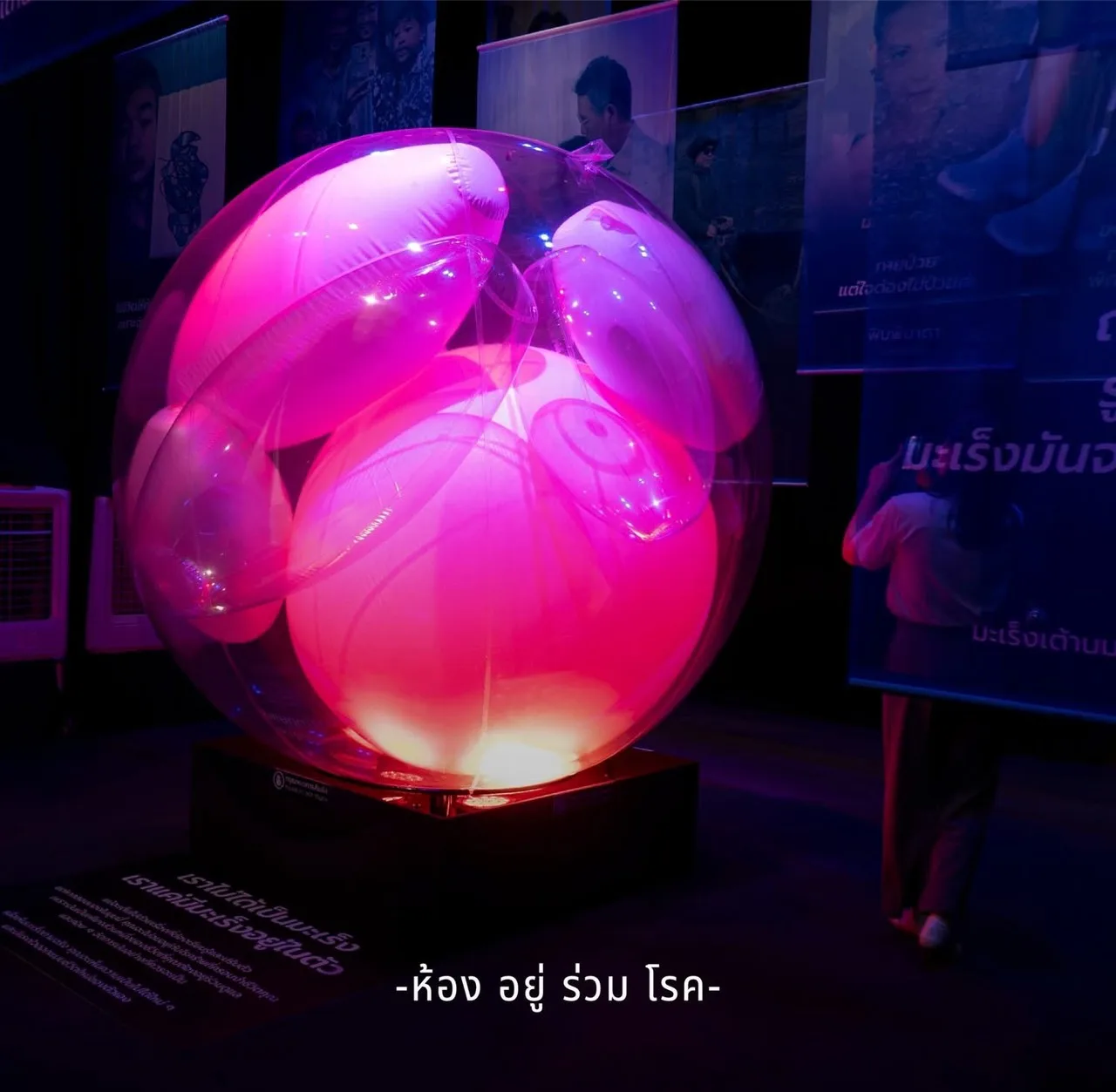 ผลงาน balloonpriceka