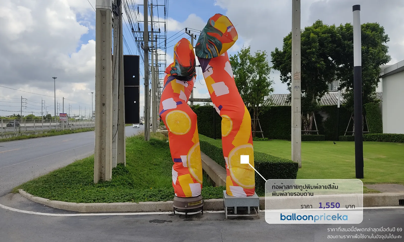 ผลงาน balloonpriceka